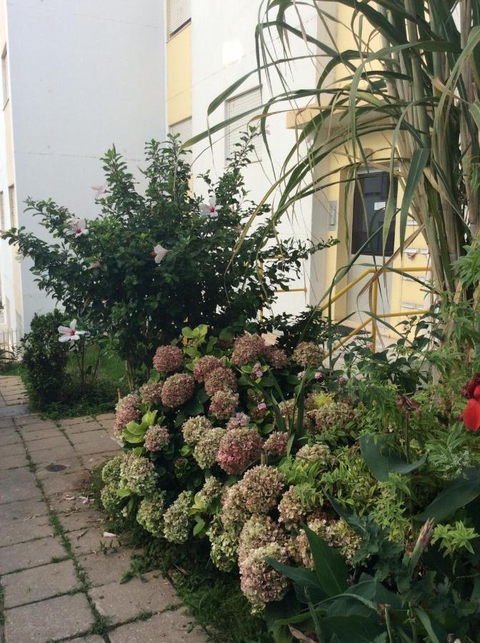 Jardim Das Flores FAO Dış mekan fotoğraf
