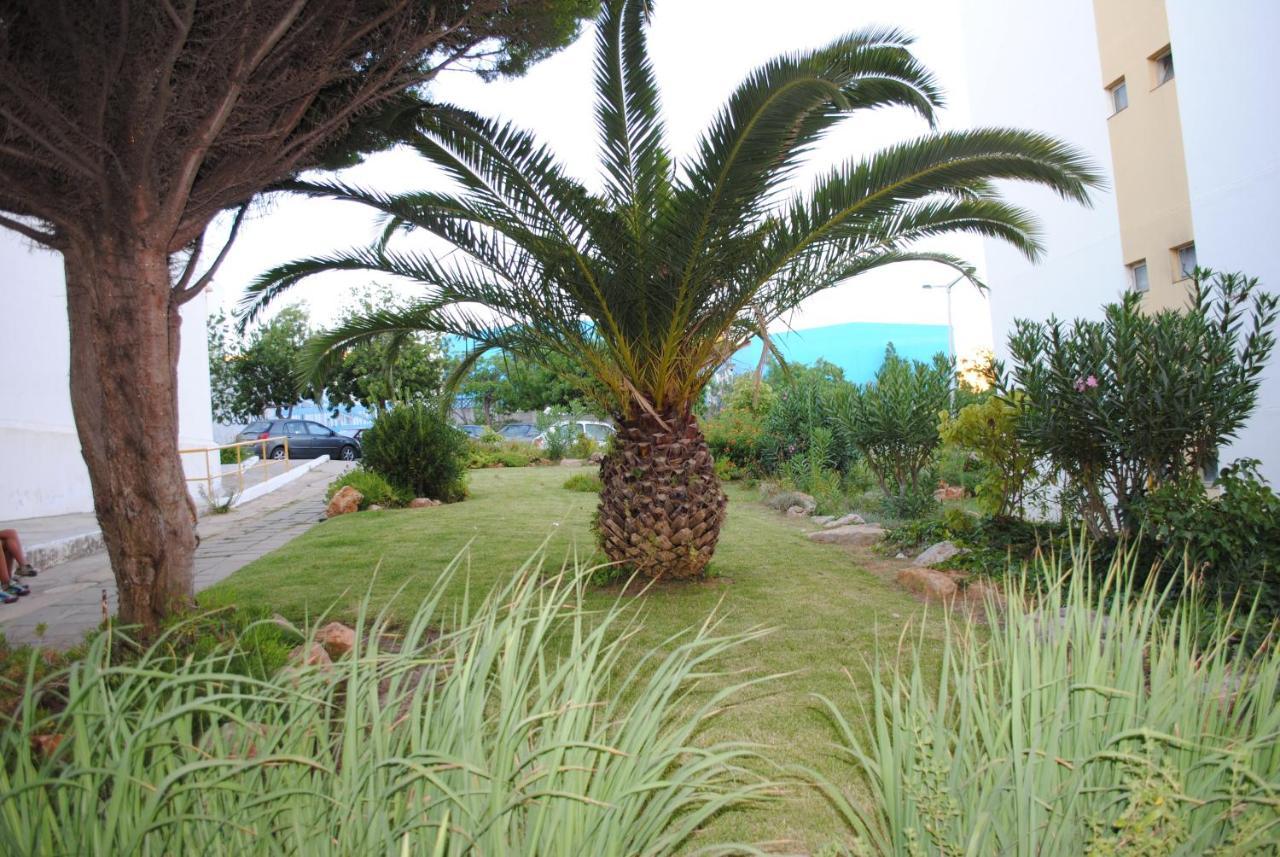 Jardim Das Flores FAO Dış mekan fotoğraf